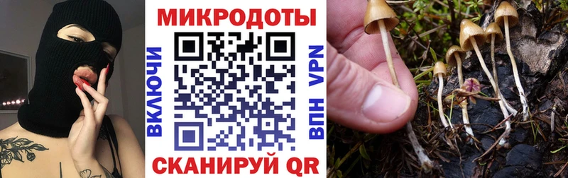 где можно купить   мега зеркало  Галлюциногенные грибы GOLDEN TEACHER  Бахчисарай 